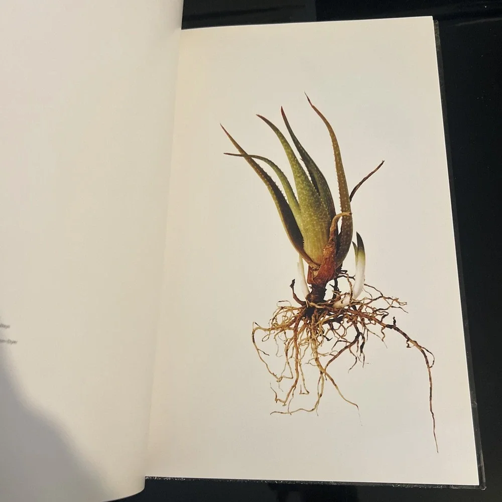 Subtraction - Hardcover By Siobhan Gunning - GOOD - Plant Art Photography